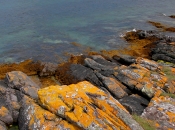 Lochranza Bay shoreline