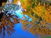 Berlin-Tiergarten