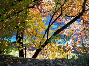 Euthanasia Victims Memorial