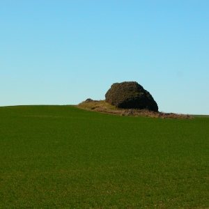 Erratic, US 2 , WA