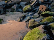 Colored Rocks, Mawgan Porth