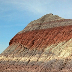 Petrified Desert