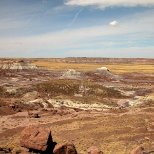 Petrified Desert