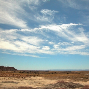 Petrified Desert