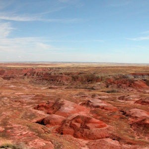 Petrified Desert