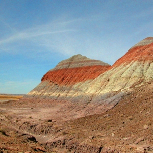 Petrified Desert