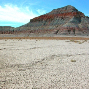 Petrified Desert