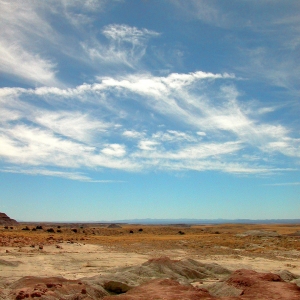 Petrified Desert