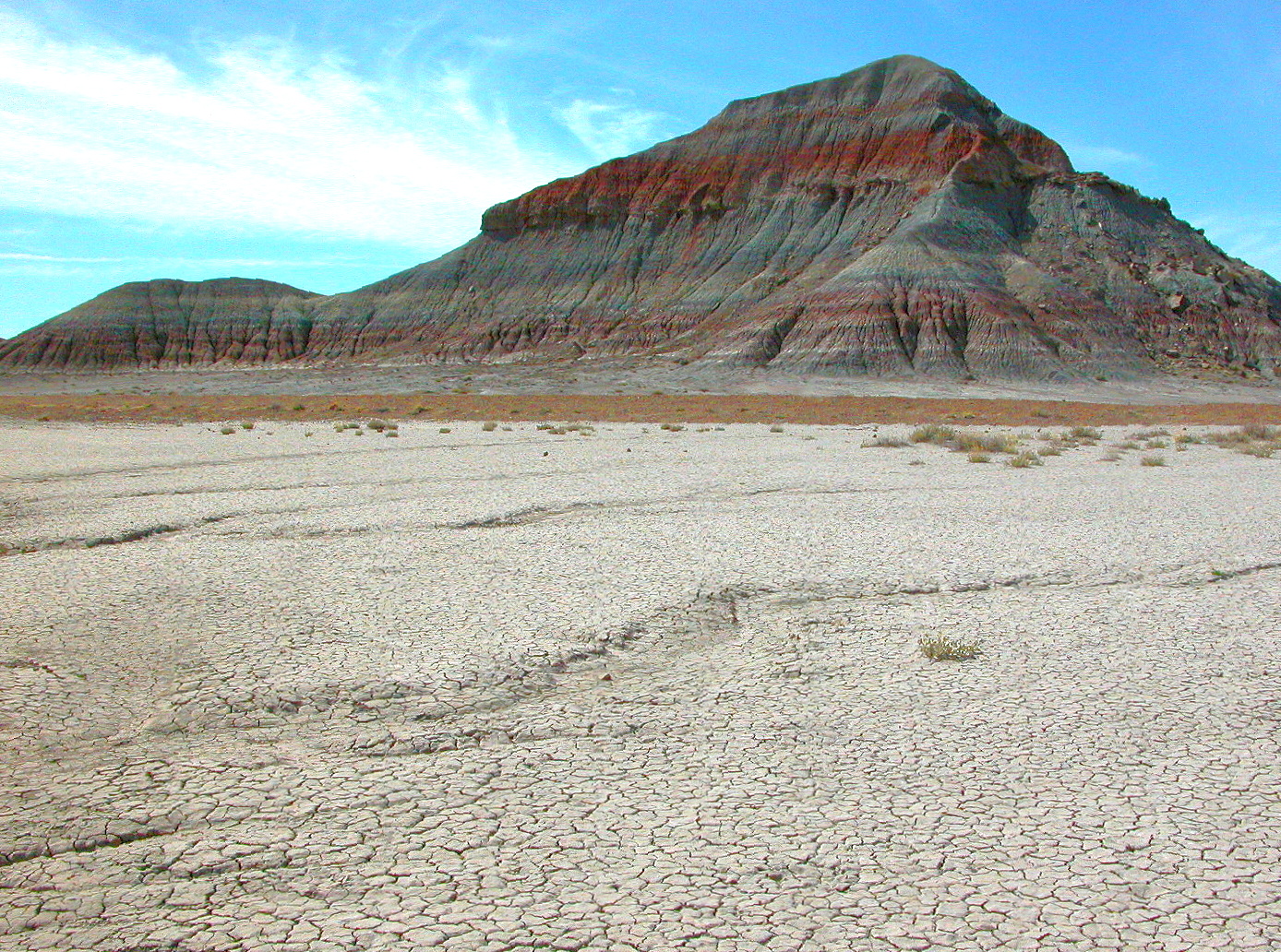 Petrified Desert