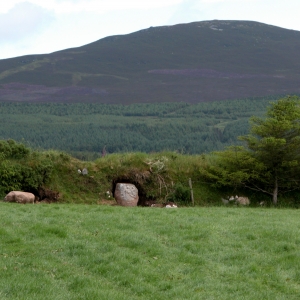 Cup Stone, South Barrule