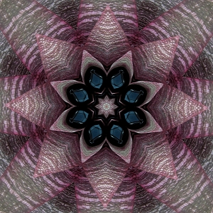 Bromeliad