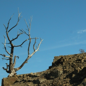 Nr Clyde Park, Montana