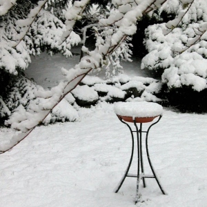 Bird Bath in Winter