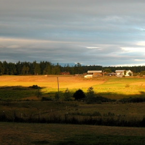 Horse Pasture