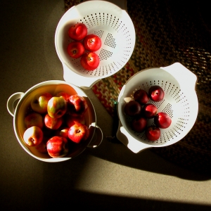 Apple Harvest