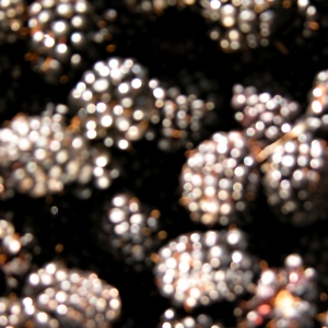 Blurry Blackberries