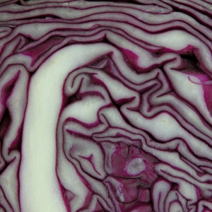 Red Cabbage