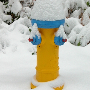 Fire Hydrant in Snow