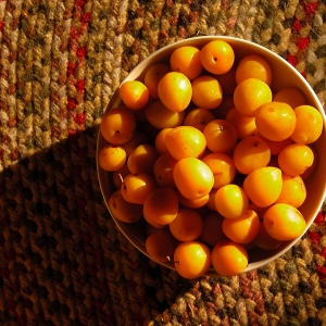 Yellow Plums