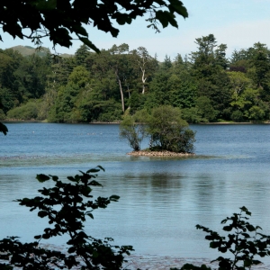 Eredine Crannog, Loch Awe