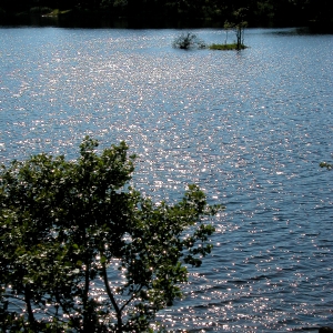 Crannog from Liever Island