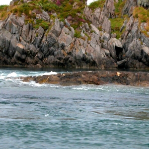 Tidal Race, Lunga
