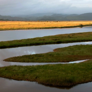 River Add, Moine Mhor