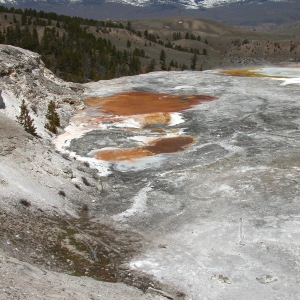 Mammoth Springs, Yellowstone