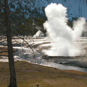 Cliff Geyser, Yellowstone