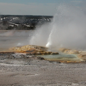 Clepsydra Geyser, Yellowstone