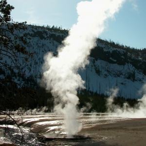 Cliff Geyser, Yellowstone