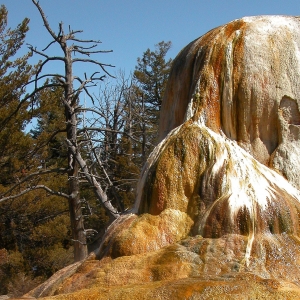 Orange Spring Mound, Yellowstone