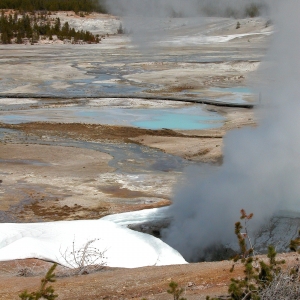 Valentine Geyser, Yellowstone