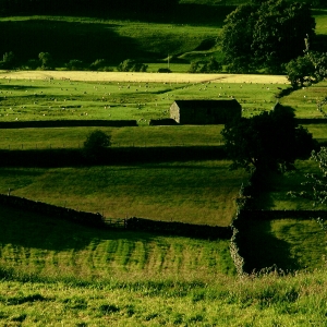 Near Hawes, late afternoon.