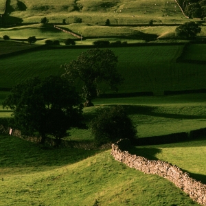 Near Hawes, late afternoon.