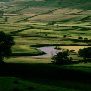 Near Hawes, late afternoon.