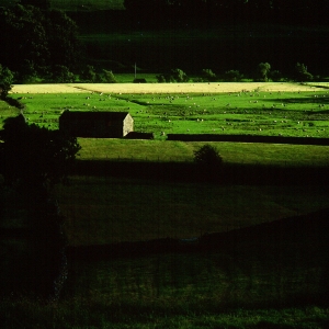 Near Hawes, late afternoon.