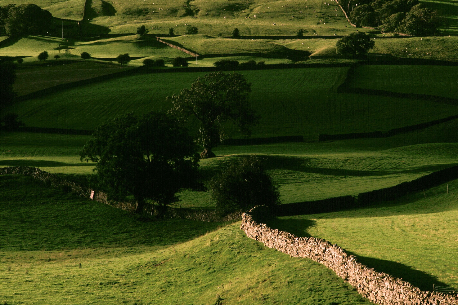 Near Hawes, late afternoon.